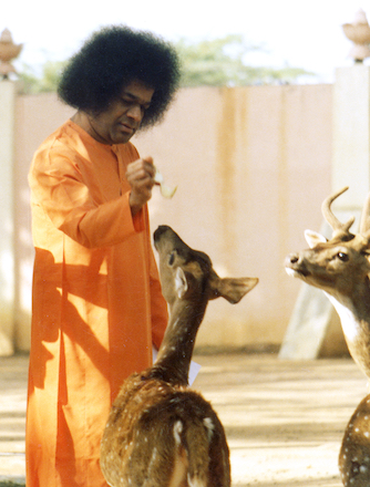 Beloved Bhagawan Sri Sathya Sai Baba